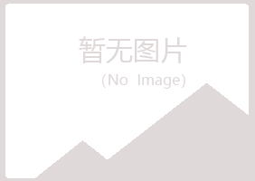 中山区迷失工程有限公司